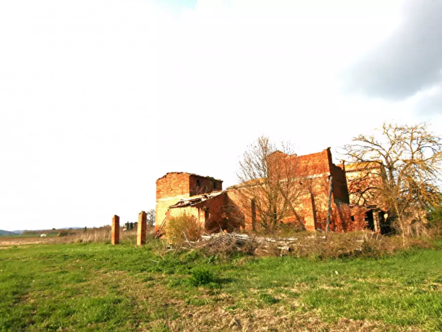 Immagine 6 di Rustico / casale in vendita  a Sinalunga