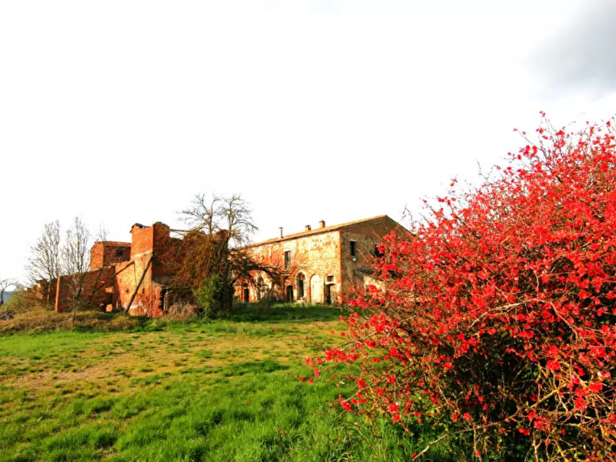 Immagine 7 di Rustico / casale in vendita  a Sinalunga