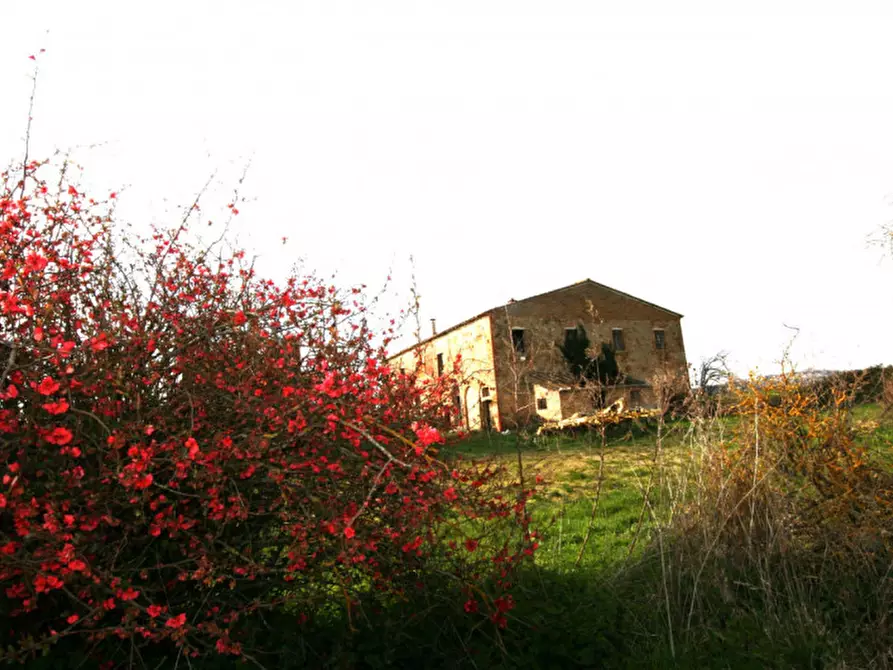 Immagine 8 di Rustico / casale in vendita  a Sinalunga