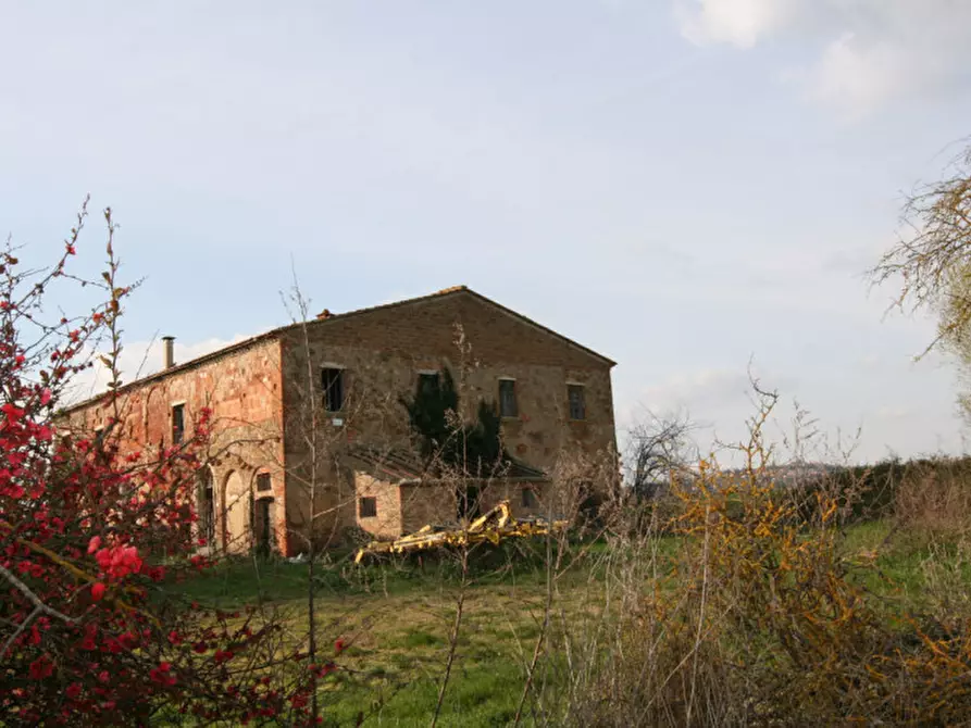 Immagine 9 di Rustico / casale in vendita  a Sinalunga