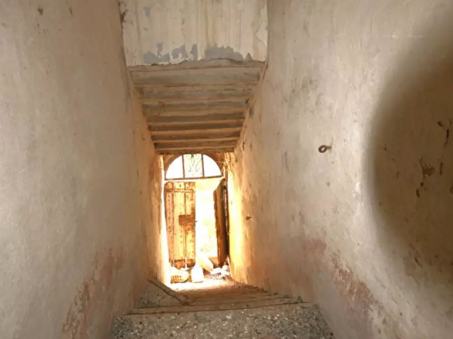 Immagine 21 di Rustico / casale in vendita  a Sinalunga
