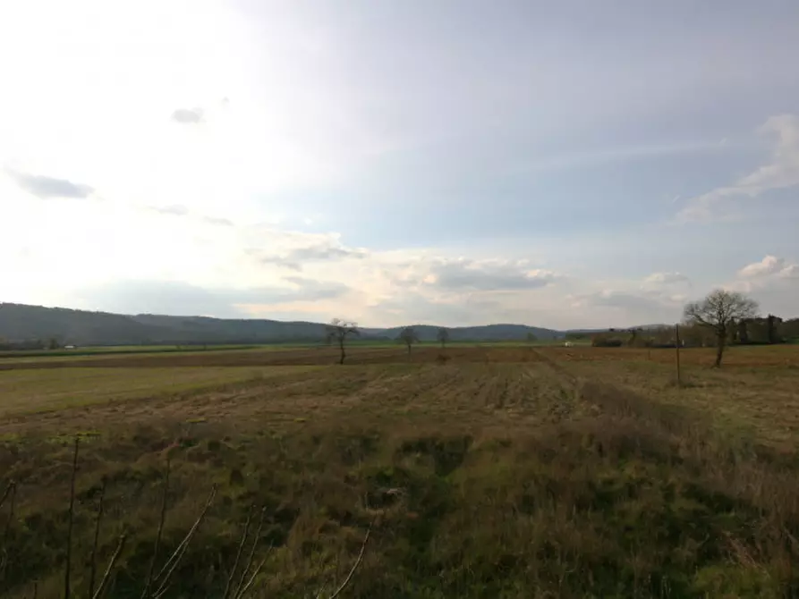 Immagine 44 di Rustico / casale in vendita  a Sinalunga