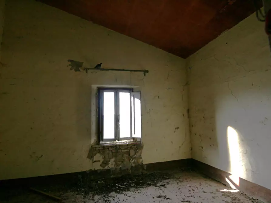 Immagine 46 di Rustico / casale in vendita  a Sinalunga
