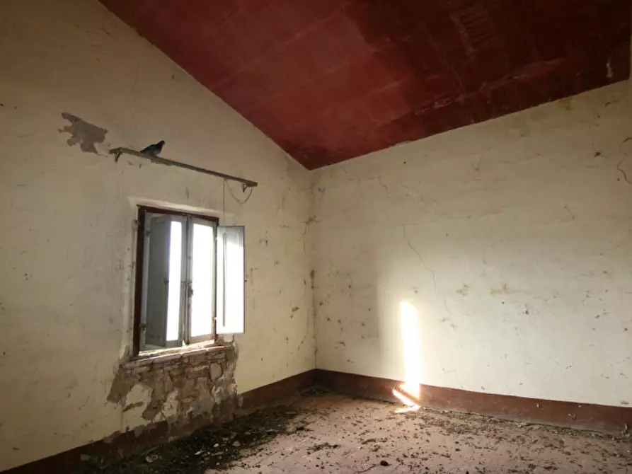 Immagine 47 di Rustico / casale in vendita  a Sinalunga