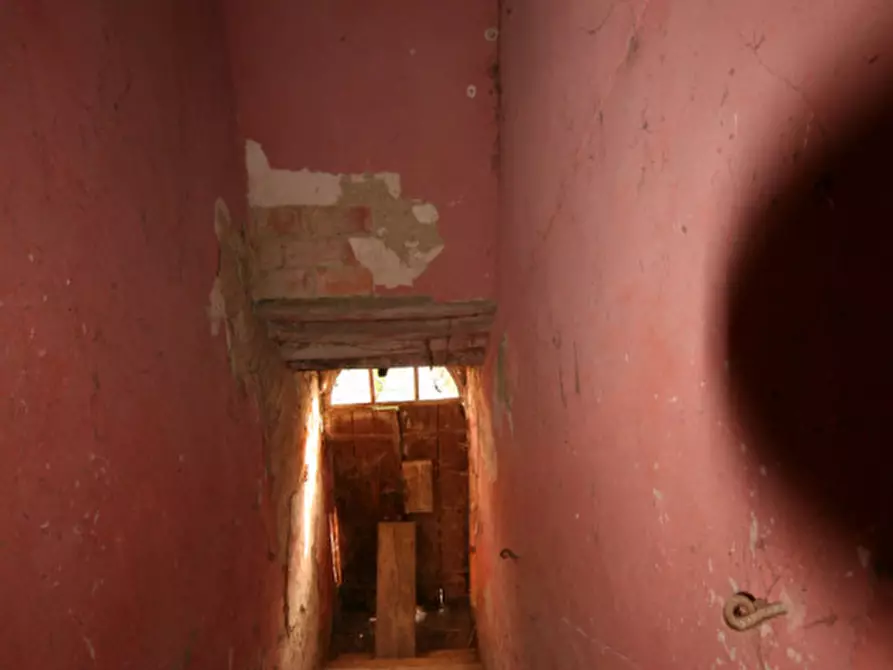 Immagine 50 di Rustico / casale in vendita  a Sinalunga