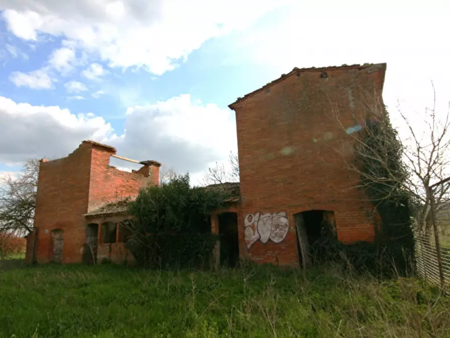 Immagine 52 di Rustico / casale in vendita  a Sinalunga