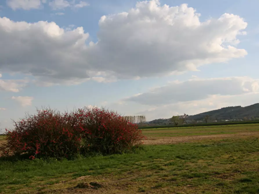 Immagine 54 di Rustico / casale in vendita  a Sinalunga