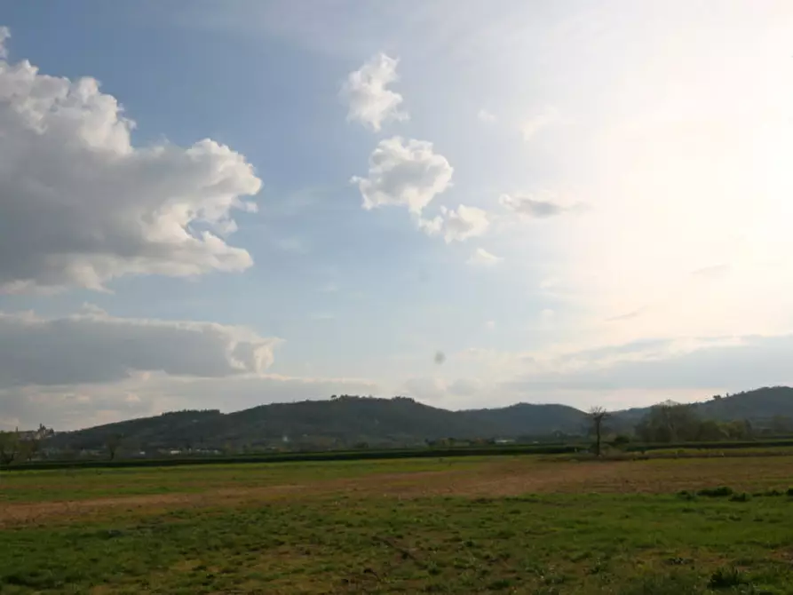 Immagine 55 di Rustico / casale in vendita  a Sinalunga