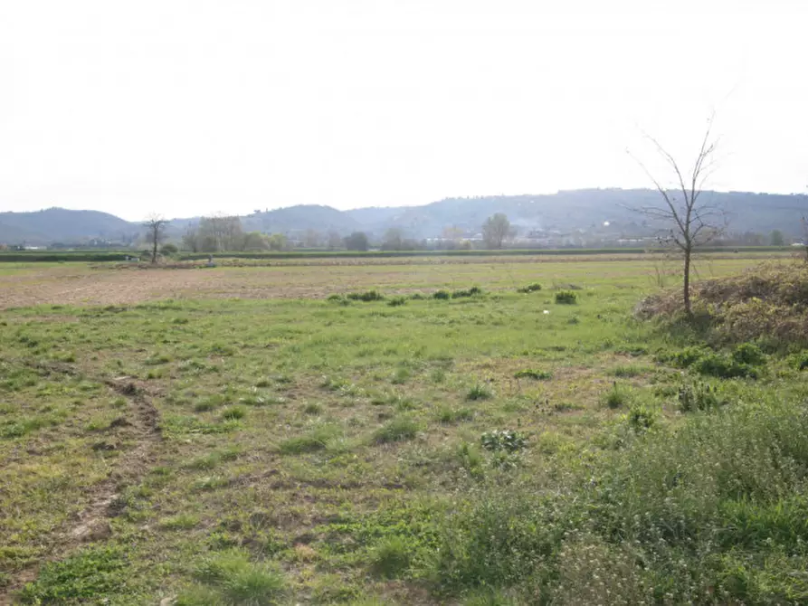 Immagine 56 di Rustico / casale in vendita  a Sinalunga