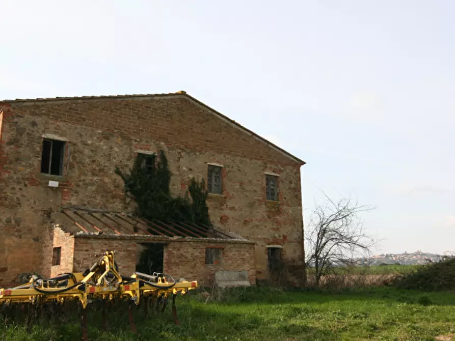 Immagine 57 di Rustico / casale in vendita  a Sinalunga