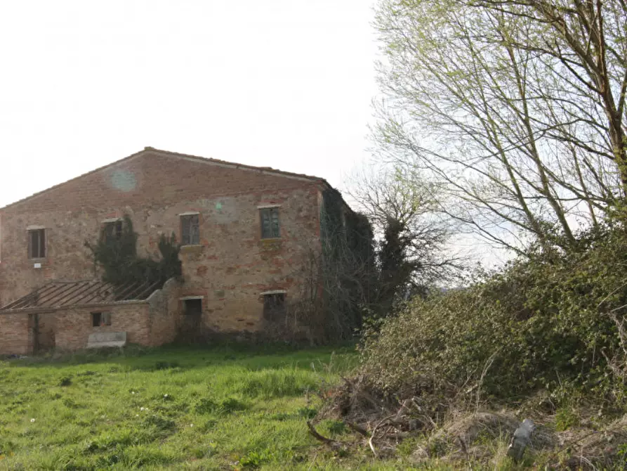 Immagine 58 di Rustico / casale in vendita  a Sinalunga