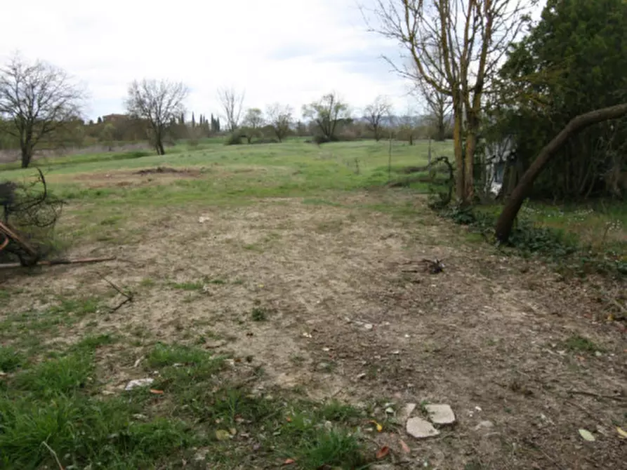 Immagine 4 di Villetta a schiera in vendita  a Sinalunga