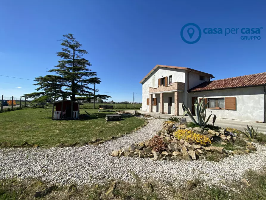 Immagine 31 di Casa indipendente in vendita  in Via dell'Usignolo 9 a Mesola