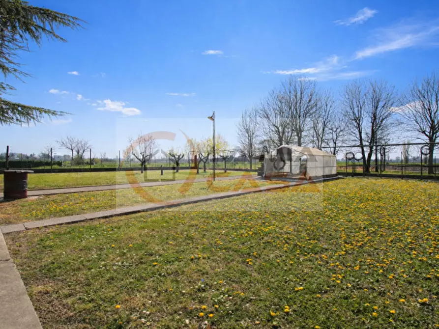 Immagine 5 di Capannone industriale in vendita  in Via San Martino e Solferino - Ponte San Nicolò (PD) a Ponte San Nicolò