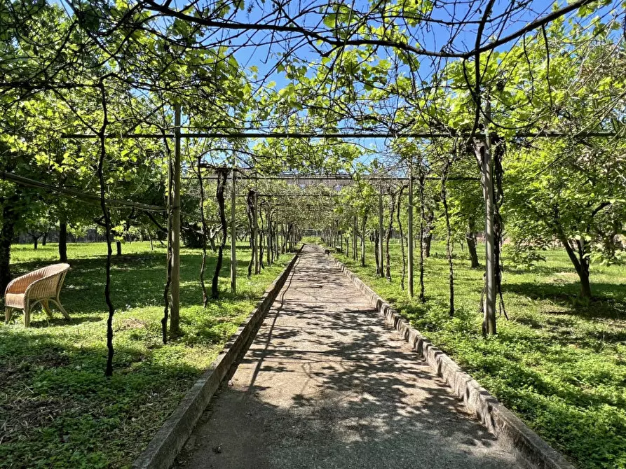Immagine 33 di Villa in vendita  in Via Legione Antonini, a Vicenza