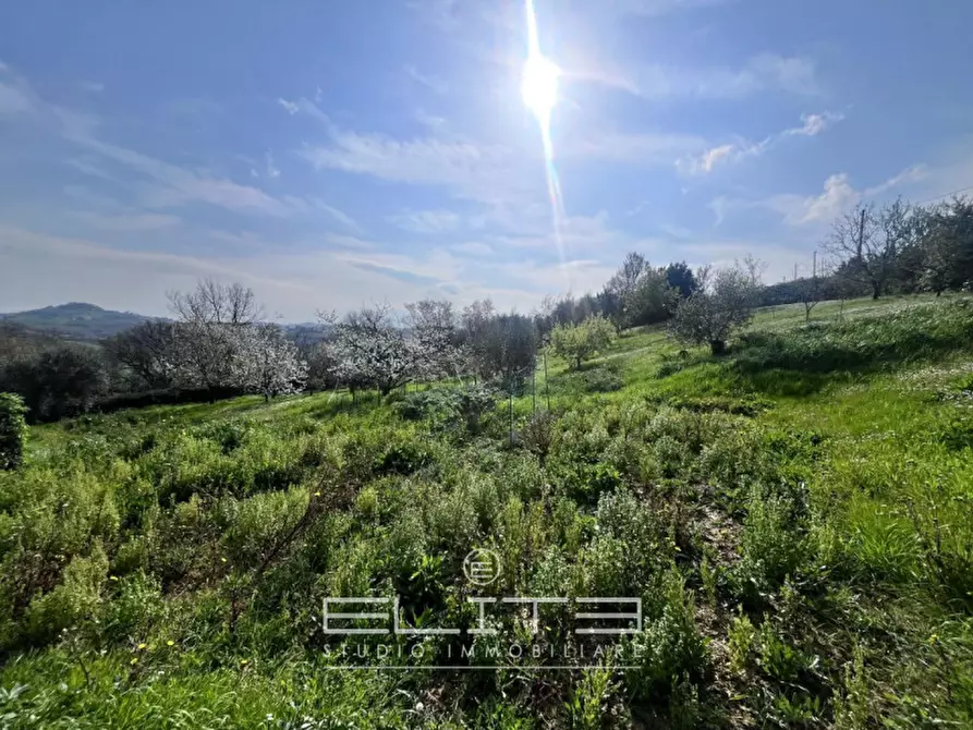Immagine 5 di Villa in vendita  in CONTRADA FRASCA AGUGLIANO a Agugliano