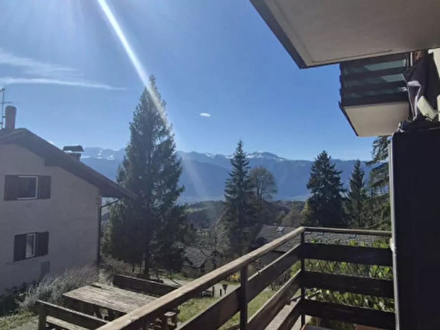 Immagine 2 di Appartamento in vendita  a Predaia