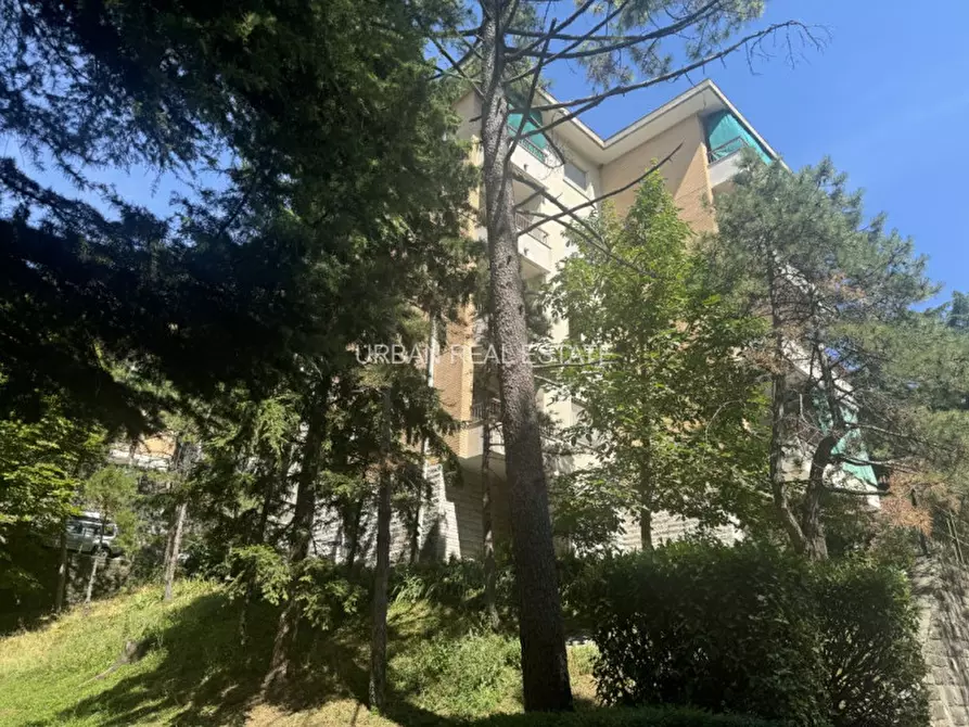 Immagine 23 di Appartamento in vendita  in Via Antoni 13 a Trieste