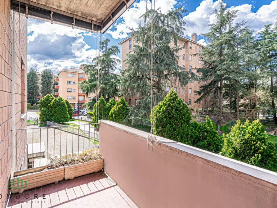 Immagine 29 di Appartamento in vendita  in Via Amedeo Orlandi a San Lazzaro Di Savena