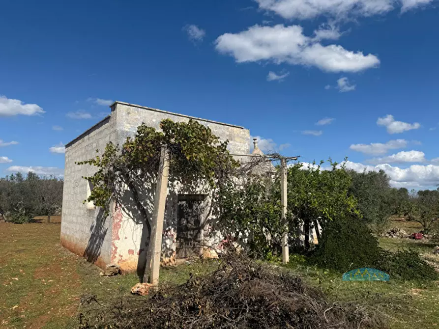 Immagine 2 di Rustico / casale in vendita  in Contrada Capece a Francavilla Fontana