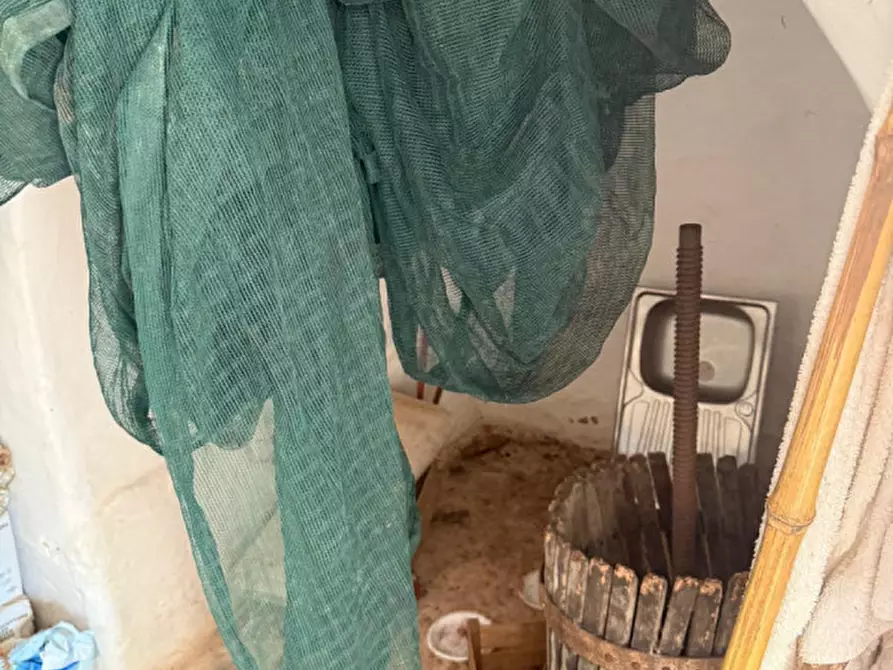 Immagine 4 di Rustico / casale in vendita  in Contrada Capece a Francavilla Fontana