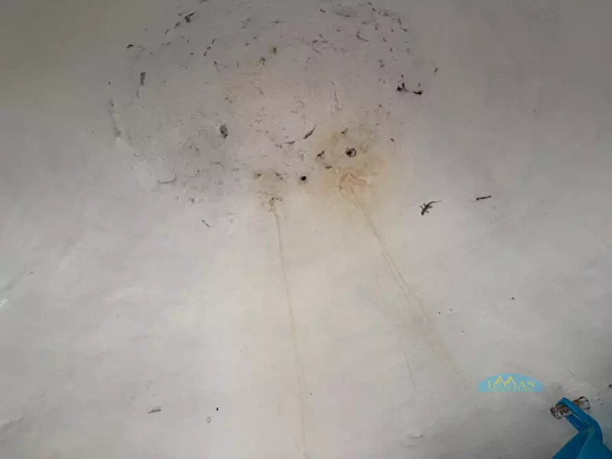 Immagine 6 di Rustico / casale in vendita  in Contrada Capece a Francavilla Fontana