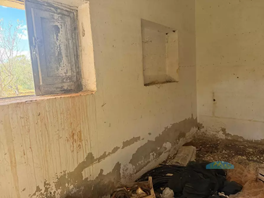 Immagine 8 di Rustico / casale in vendita  in Contrada Capece a Francavilla Fontana