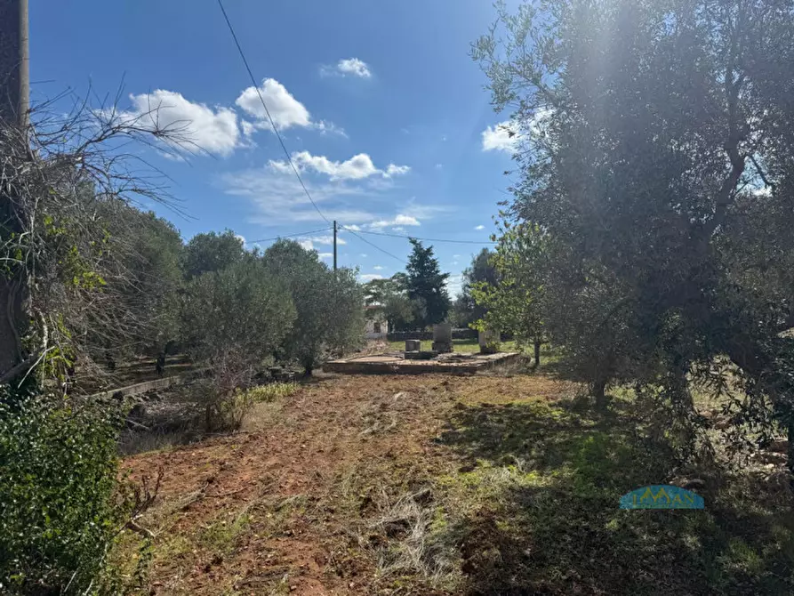 Immagine 9 di Rustico / casale in vendita  in Contrada Capece a Francavilla Fontana
