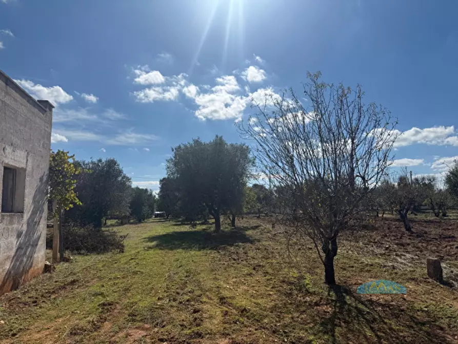 Immagine 11 di Rustico / casale in vendita  in Contrada Capece a Francavilla Fontana