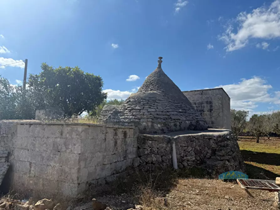 Immagine 14 di Rustico / casale in vendita  in Contrada Capece a Francavilla Fontana
