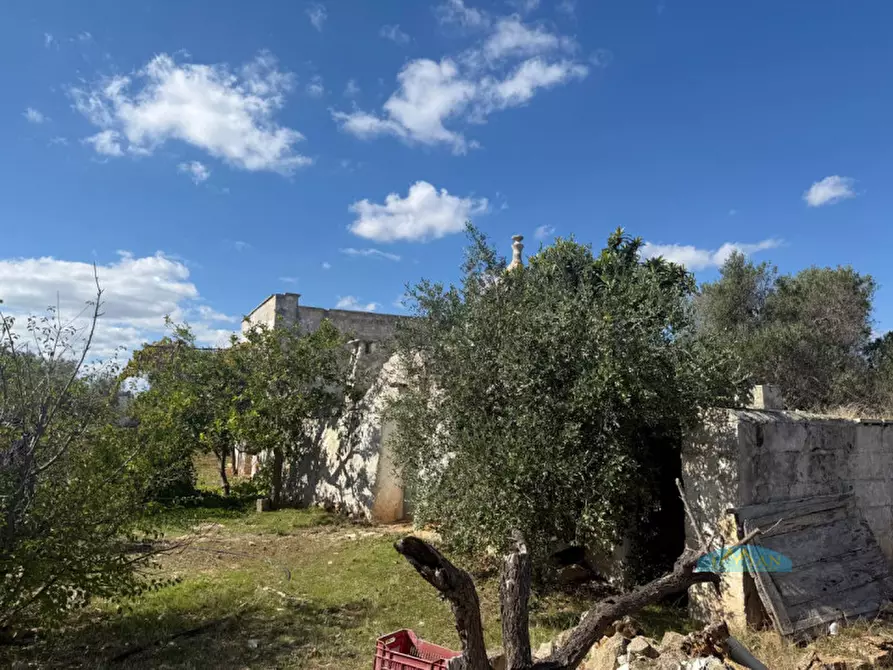 Immagine 15 di Rustico / casale in vendita  in Contrada Capece a Francavilla Fontana