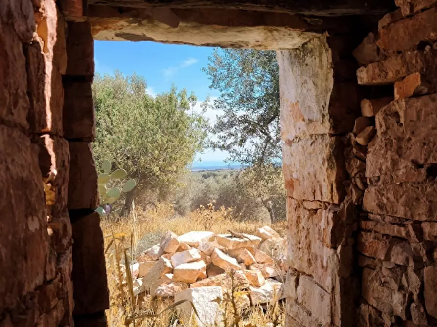 Immagine 1 di Rustico / casale in vendita  a Fasano