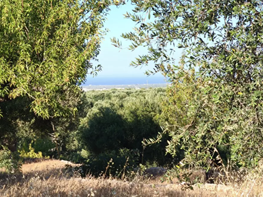 Immagine 1 di Rustico / casale in vendita  a Fasano