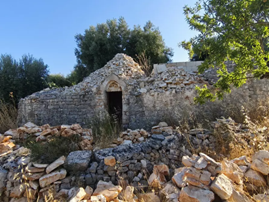 Immagine 5 di Rustico / casale in vendita  a Fasano