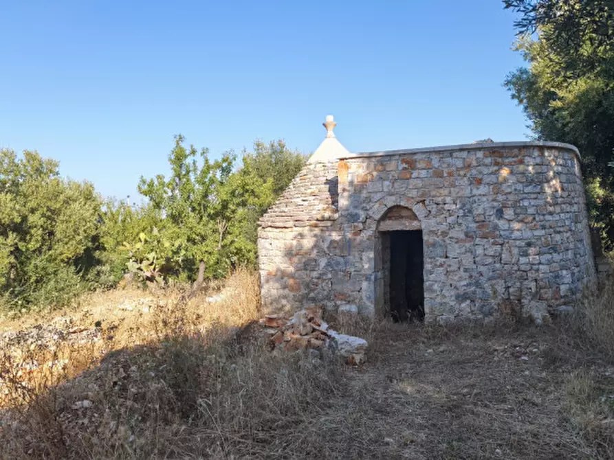 Immagine 6 di Rustico / casale in vendita  a Fasano
