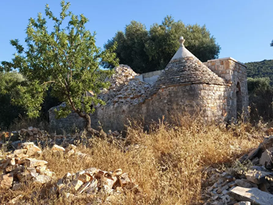 Immagine 6 di Rustico / casale in vendita  a Fasano