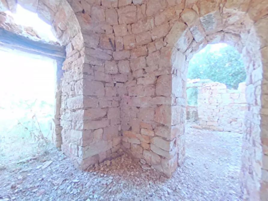 Immagine 8 di Rustico / casale in vendita  a Fasano