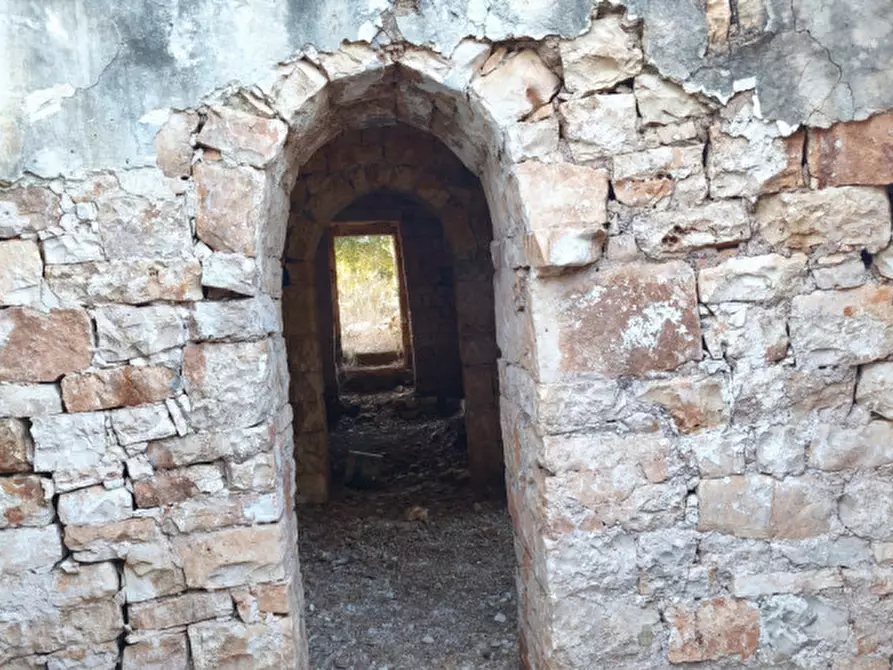 Immagine 11 di Rustico / casale in vendita  a Fasano