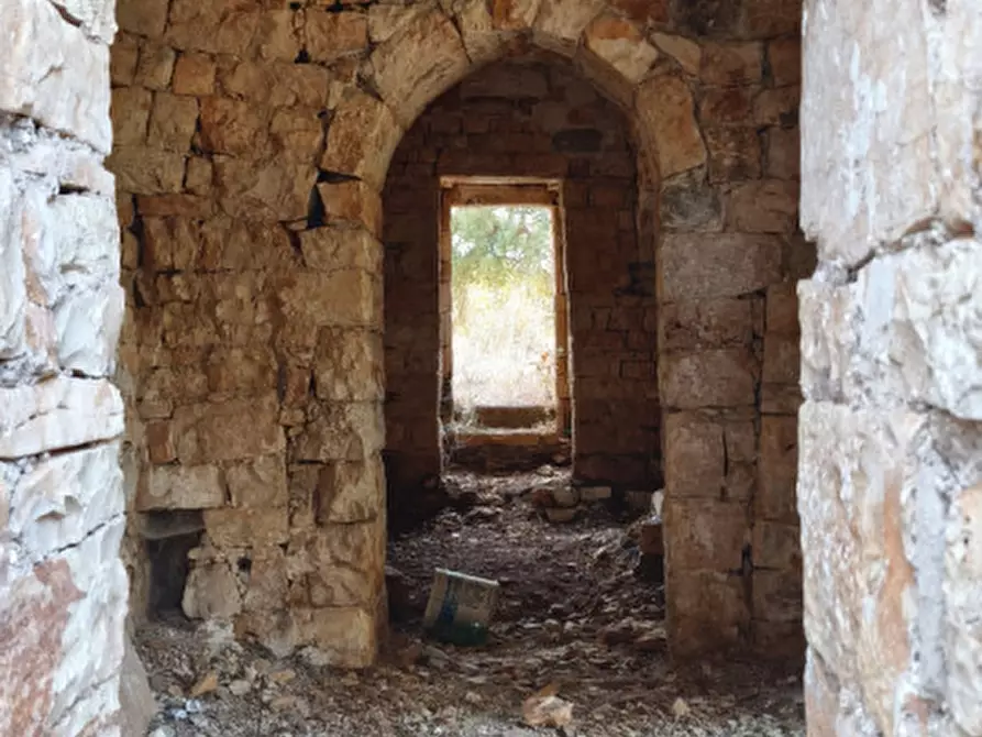 Immagine 12 di Rustico / casale in vendita  a Fasano