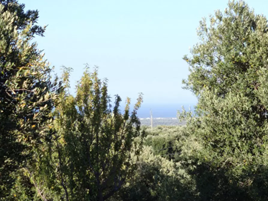 Immagine 14 di Rustico / casale in vendita  a Fasano
