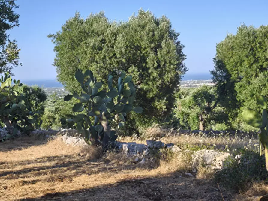 Immagine 16 di Rustico / casale in vendita  a Fasano