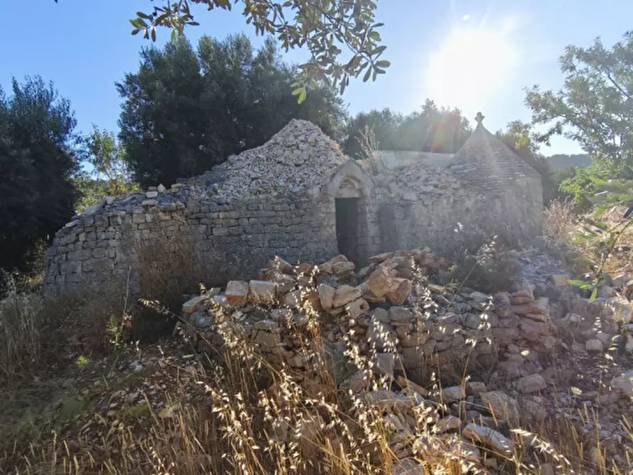Immagine 17 di Rustico / casale in vendita  a Fasano