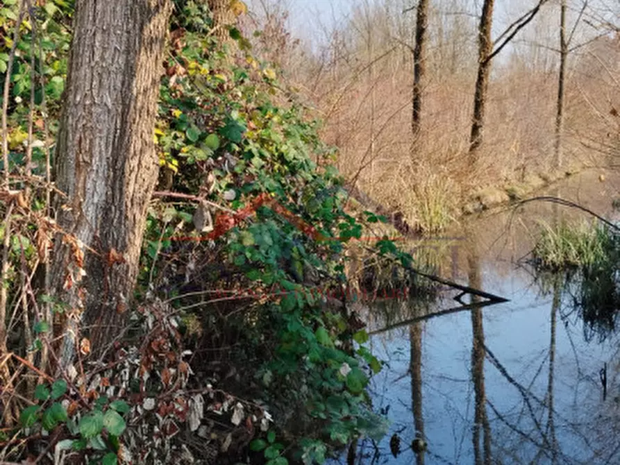 Immagine 1 di Terreno in vendita  a Cervarese Santa Croce