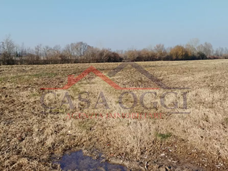 Immagine 2 di Terreno in vendita  a Cervarese Santa Croce