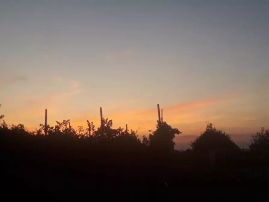 Immagine 5 di Terreno in vendita  in Via Prati Bassi a Camponogara