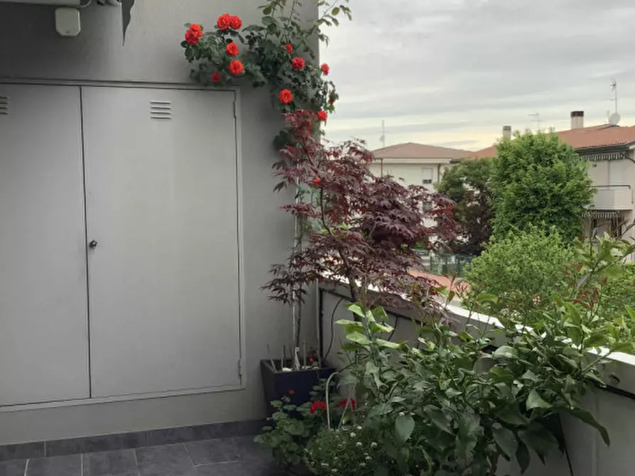 Immagine 21 di Appartamento in vendita  in via rovigo a Rubano