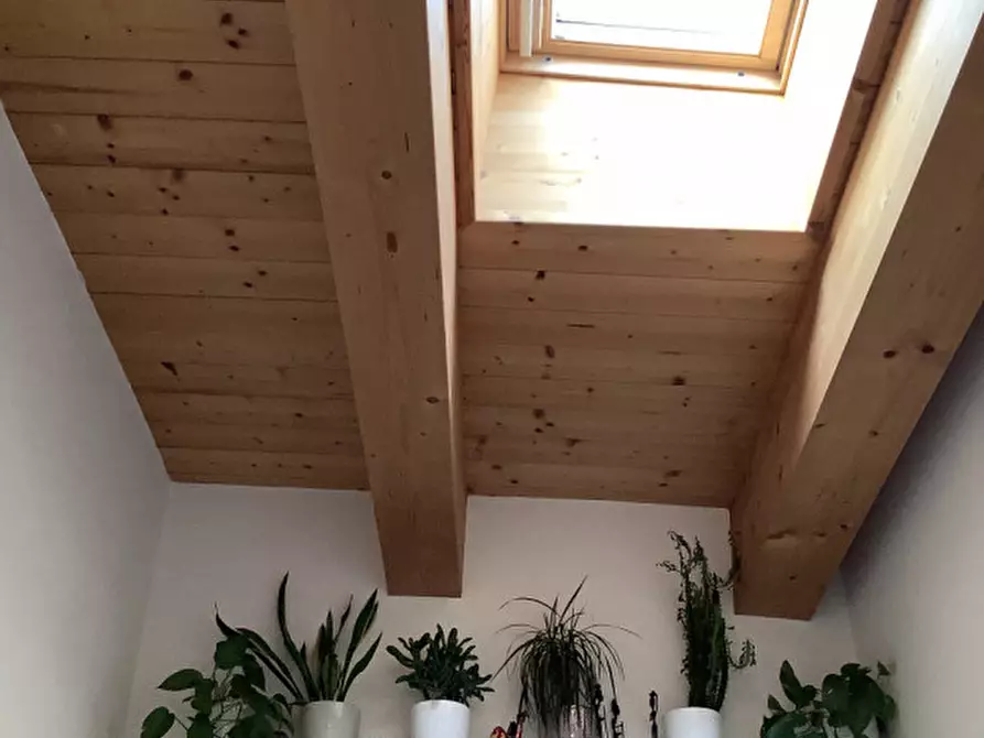 Immagine 48 di Appartamento in vendita  in via rovigo a Rubano