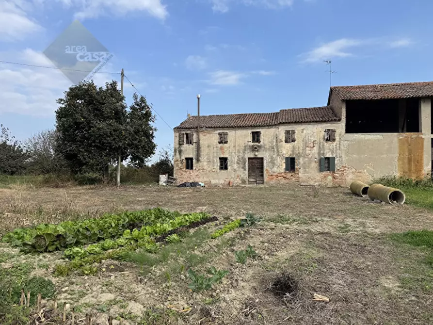 Immagine 1 di Rustico / casale in vendita  in Via della Resistenza a Campolongo Maggiore