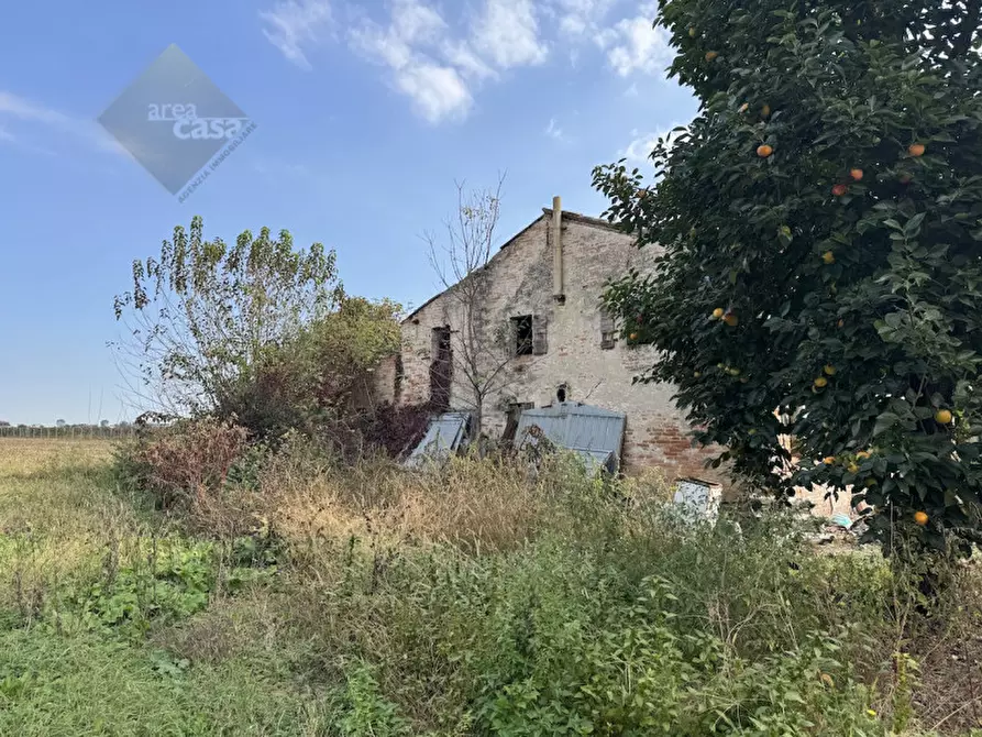 Immagine 8 di Rustico / casale in vendita  in Via della Resistenza a Campolongo Maggiore