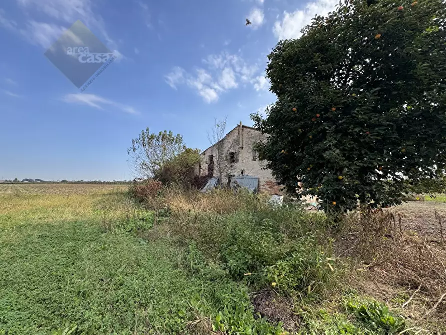 Immagine 9 di Rustico / casale in vendita  in Via della Resistenza a Campolongo Maggiore
